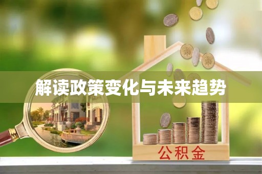 中和解读政策变化与未来趋势