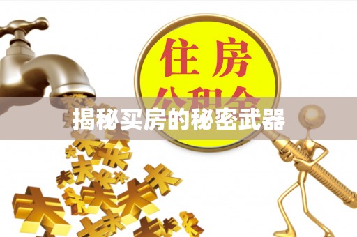 中和揭秘买房的秘密武器