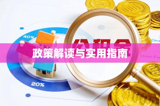 中和政策解读与实用指南