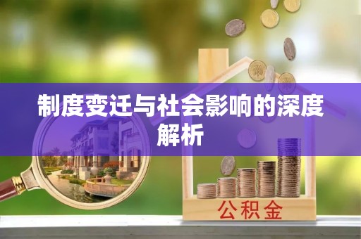中和制度变迁与社会影响的深度解析