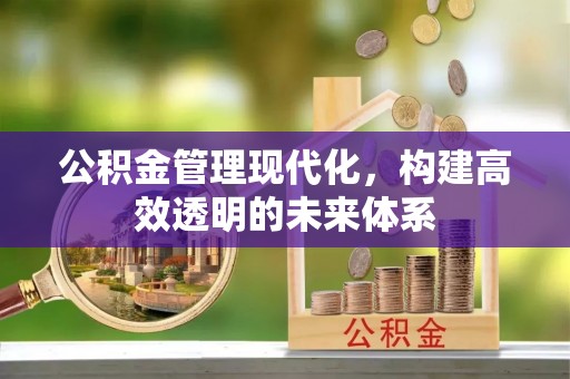 中和公积金管理现代化，构建高效透明的未来体系