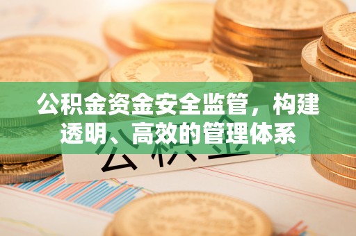 中和公积金资金安全监管，构建透明、高效的管理体系