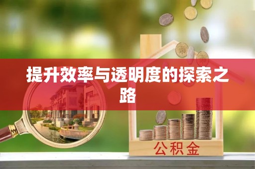 中和提升效率与透明度的探索之路