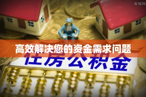 中和高效解决您的资金需求问题
