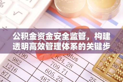 中和公积金资金安全监管，构建透明高效管理体系的关键步骤