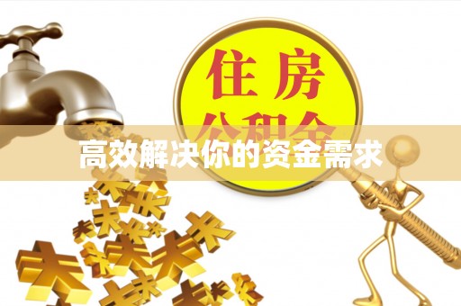 中和高效解决你的资金需求