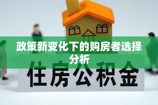 中和政策新变化下的购房者选择分析
