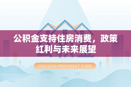 中和公积金支持住房消费，政策红利与未来展望