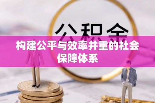 中和构建公平与效率并重的社会保障体系