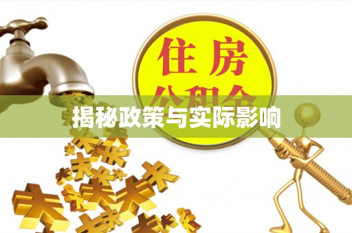 中和揭秘政策与实际影响