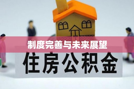 中和制度完善与未来展望