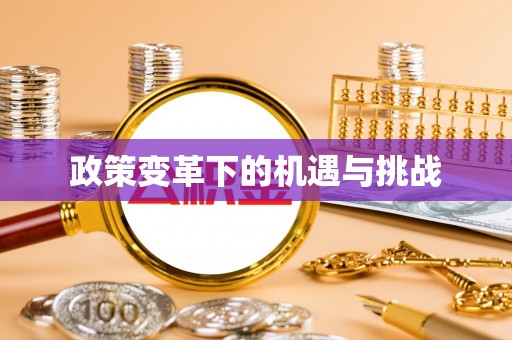 中和政策变革下的机遇与挑战