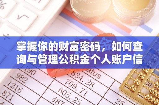 中和掌握你的财富密码，如何查询与管理公积金个人账户信息