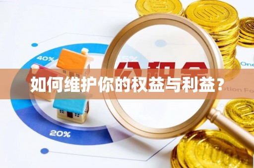 中和如何维护你的权益与利益？