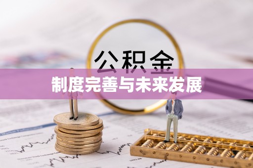 中和制度完善与未来发展