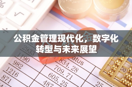 中和公积金管理现代化，数字化转型与未来展望