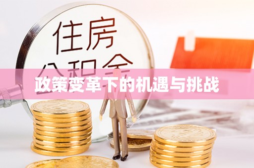中和政策变革下的机遇与挑战