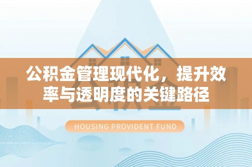 中和公积金管理现代化，提升效率与透明度的关键路径