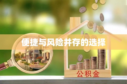 中和便捷与风险并存的选择